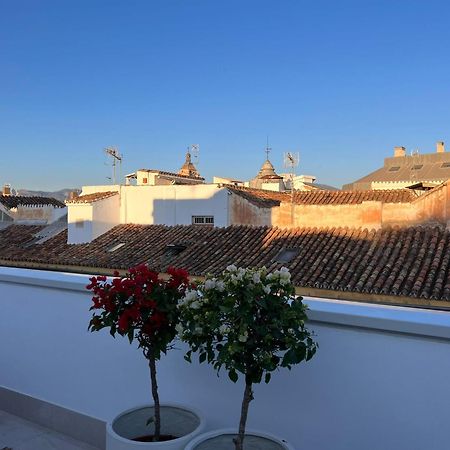 Atarazanas Suite, Atico Con Terraza Málaga Buitenkant foto